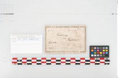 Etikett zu Eisenkonvolut (NHMW-PRAE-094301)